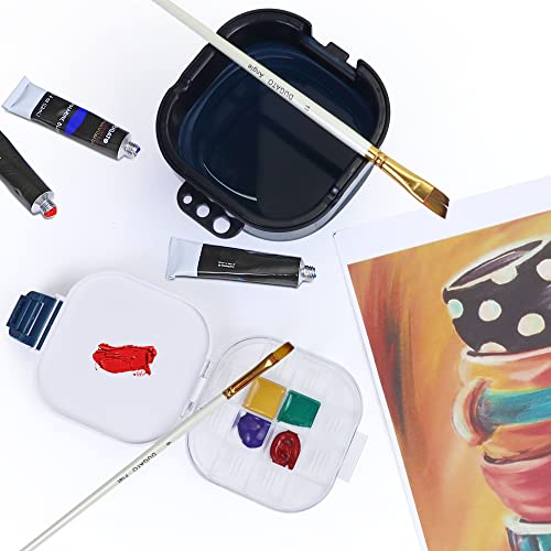 Airtight Paint Saver Storage Palette Box