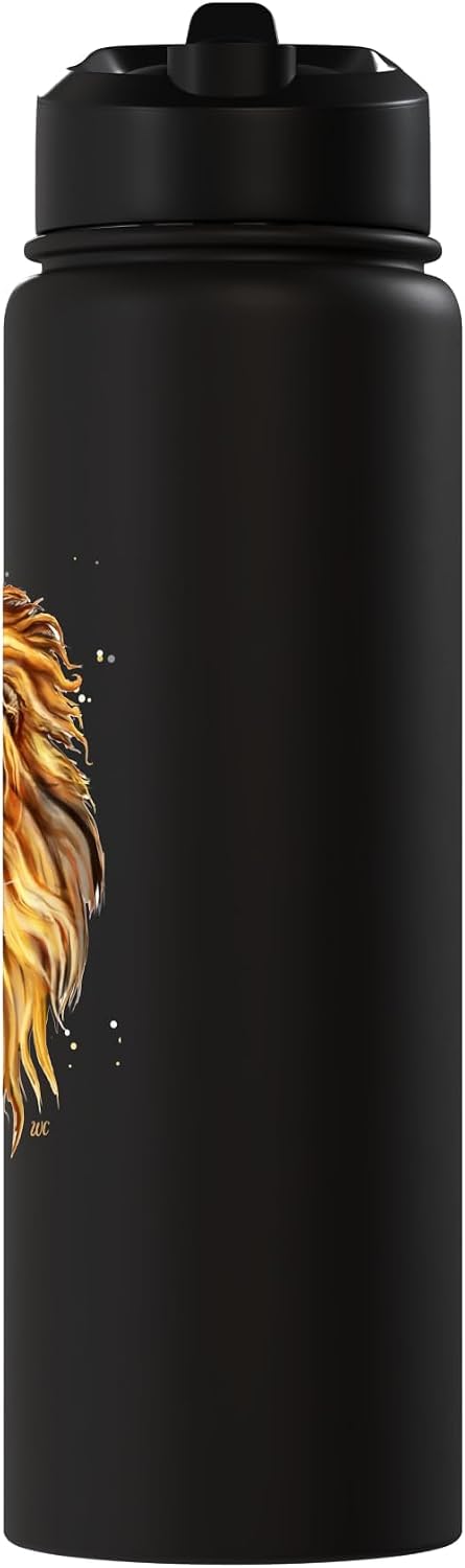 El vive Stainless Steel Insulated Water Bottle