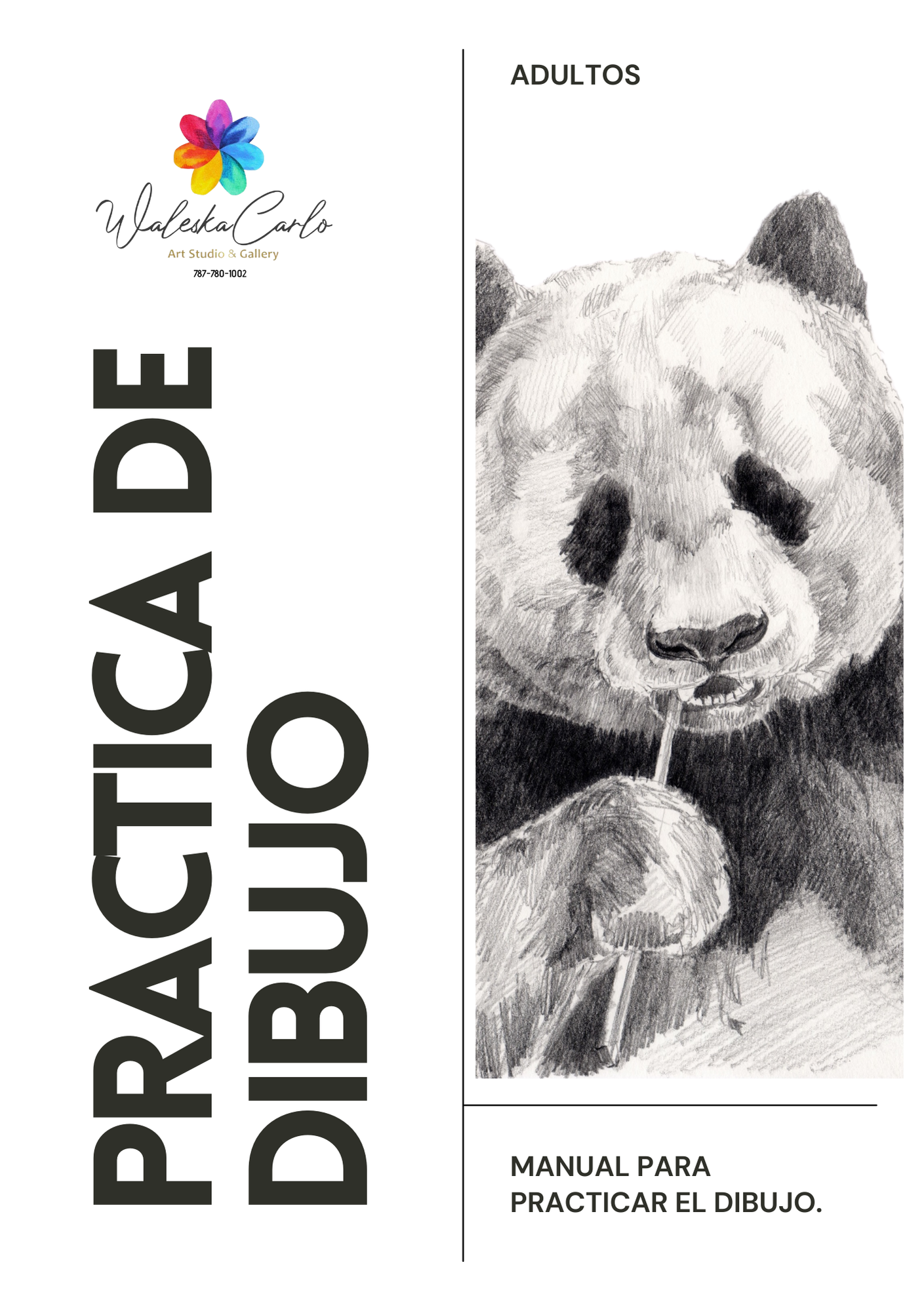 MANUAL DE PRACTICAS DE DIBUJO