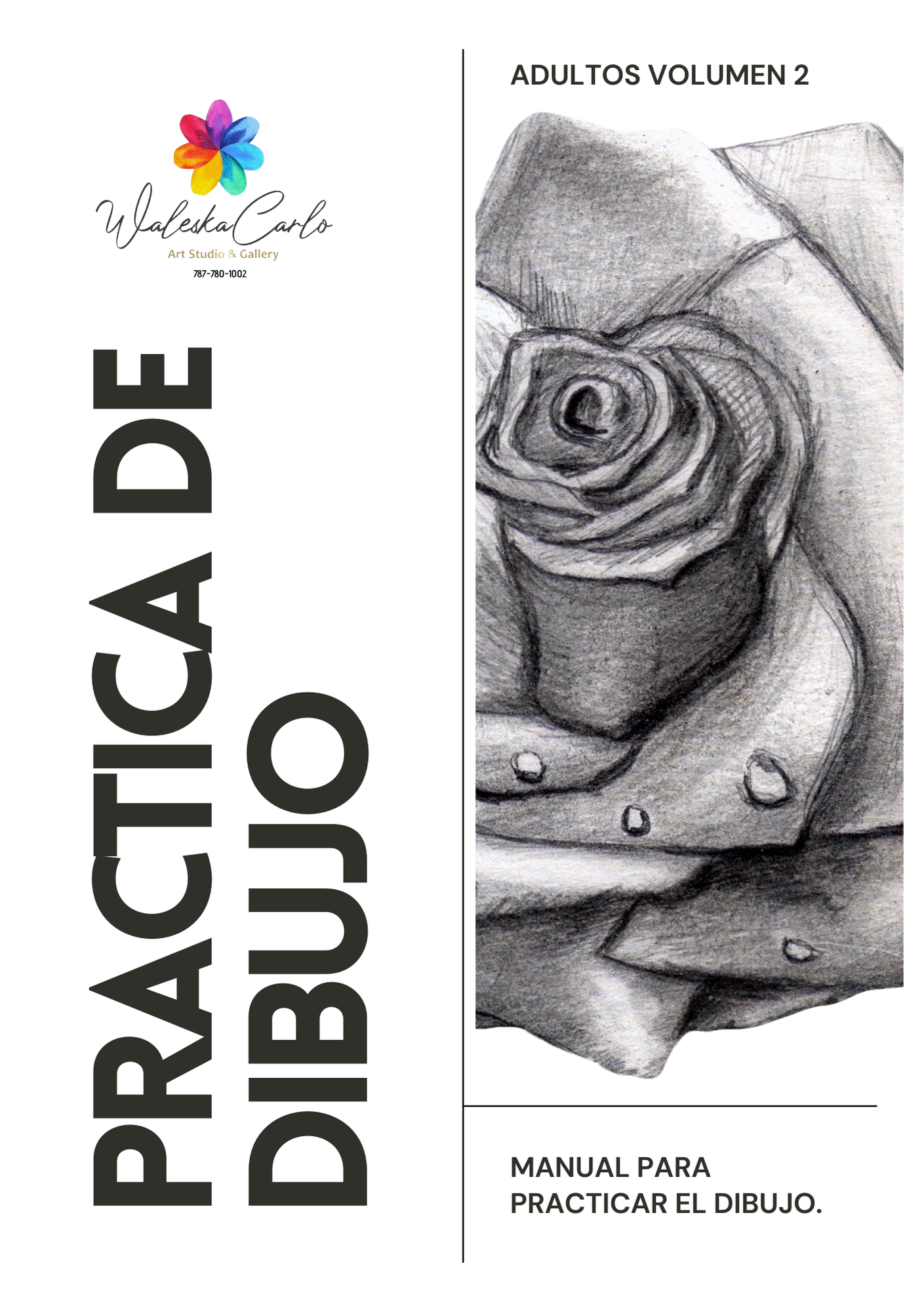 MANUAL DE PRACTICAS DE DIBUJO VOLUMEN 2