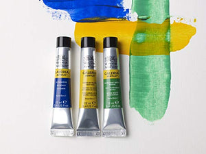 Winsor & Newton Galeria Acrylic Paint, 10 x 12ml (0.4--oz) Tube Paint Set
