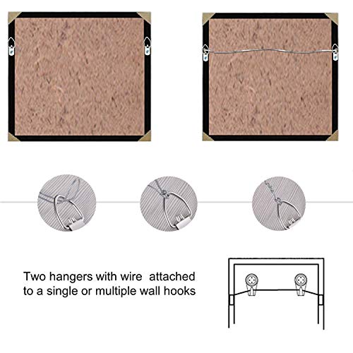 Picture Hanging Wire #2 100-Feet Braided Picture