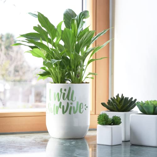 8 Posca Paint Markers