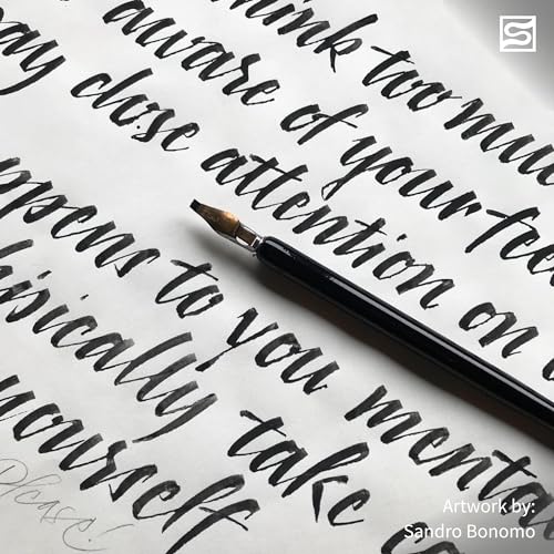 Speedball Super Black India Ink, 2-Ounce