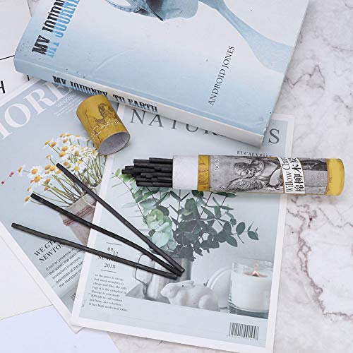 Pssopp 25pcs Charcoal Sticks