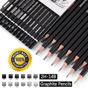 PANDAFLY Professional Drawing Sketching Pencil Set - 12 Pieces Graphite Pencils(14B - 2H), Ideal for Drawing Art, Sketching, Shading, Artist Pencils for Beginners & Pro Artists