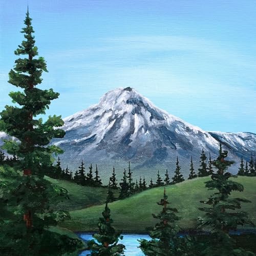 Ohuhu Acrylic Paint Kits