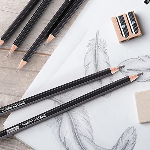 PANDAFLY Professional Drawing Sketching Pencil Set