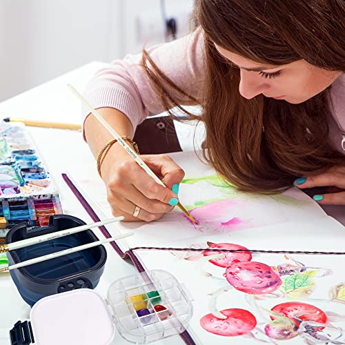 Airtight Paint Saver Storage Palette Box