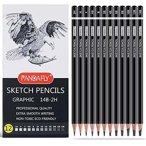 PANDAFLY Professional Drawing Sketching Pencil Set - 12 Pieces Graphite Pencils(14B - 2H), Ideal for Drawing Art, Sketching, Shading, Artist Pencils for Beginners & Pro Artists